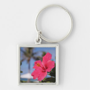 Chaveiro Flor cor-de-rosa do hibiscus