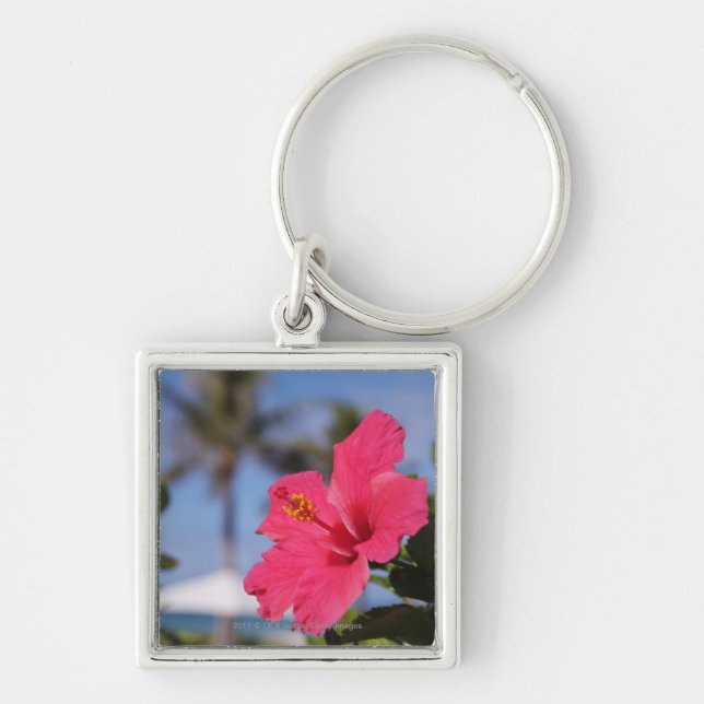 Chaveiro Flor cor-de-rosa do hibiscus (Frente)