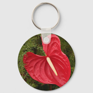 Chaveiro Flor de Anthurium em floração