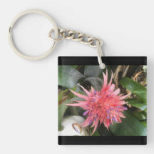 Flor de Bromelia