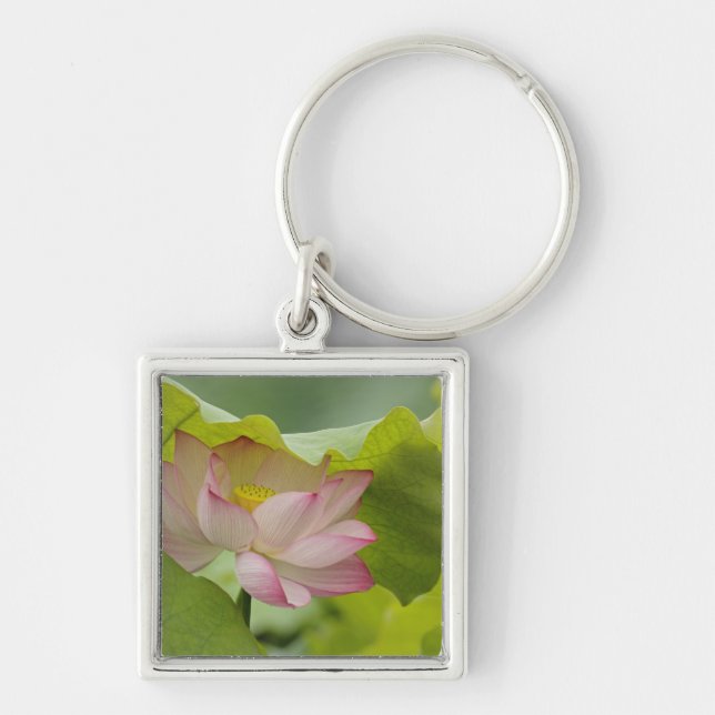 Chaveiro Flor de lótus, Nelumbo nucifera, China (Frente)