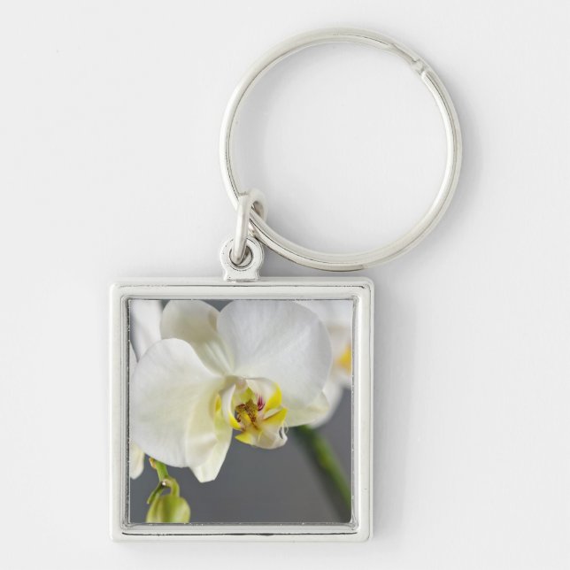 Chaveiro Flor de Orquídea Branca (Frente)