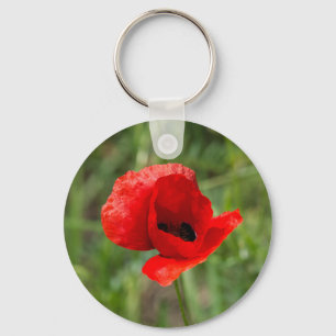 Chaveiro flor de papoila vermelha selvagem