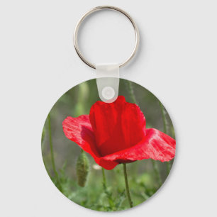 Chaveiro flor de papoila vermelha selvagem