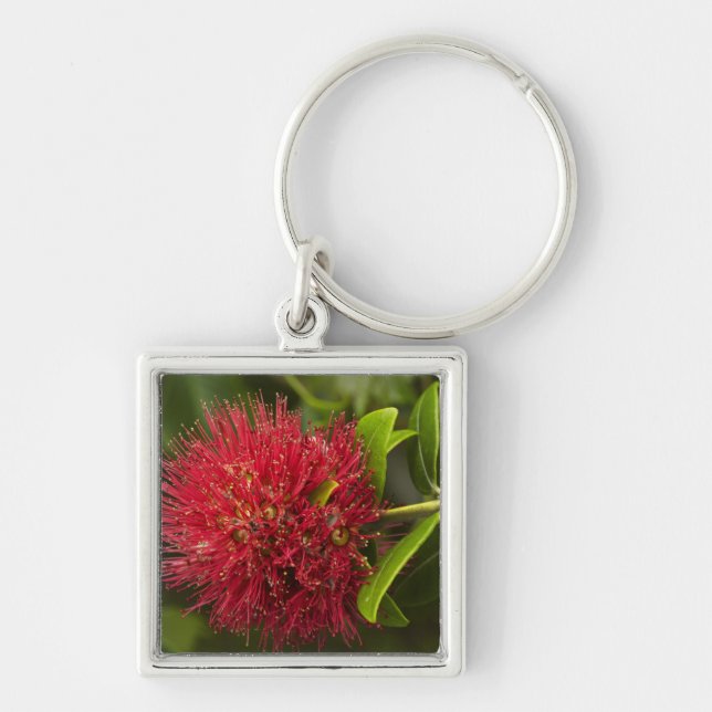 Chaveiro Flor de Pohutukawa, Dunedin (Frente)