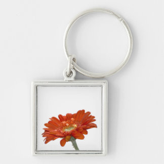 Chaveiro Flor do Gerbera da margarida alaranjada