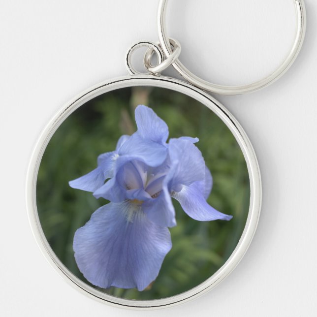 Chaveiro Flor do Periwinkle Iris (Frente)