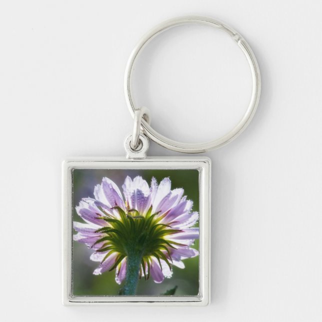 Chaveiro Flor Silvestre Roxa Com Iluminação Posterior e Got (Frente)