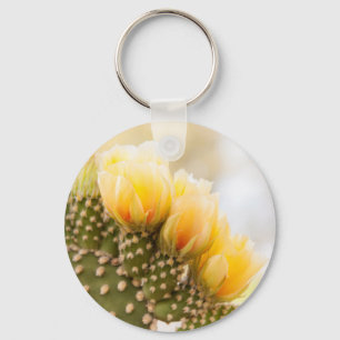 Chaveiro Flores amarelas de cacto florescem na Arizona