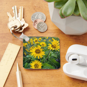 Chaveiro Flores   Balsomroot Columbia River, Oregon