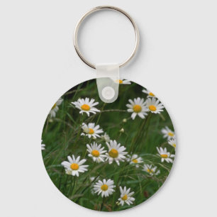 Chaveiro flores brancas da margarida de Oxeye