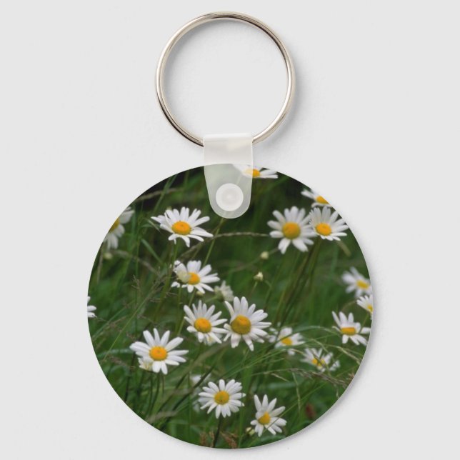 Chaveiro flores brancas de margarida de Oxeye (Frente)