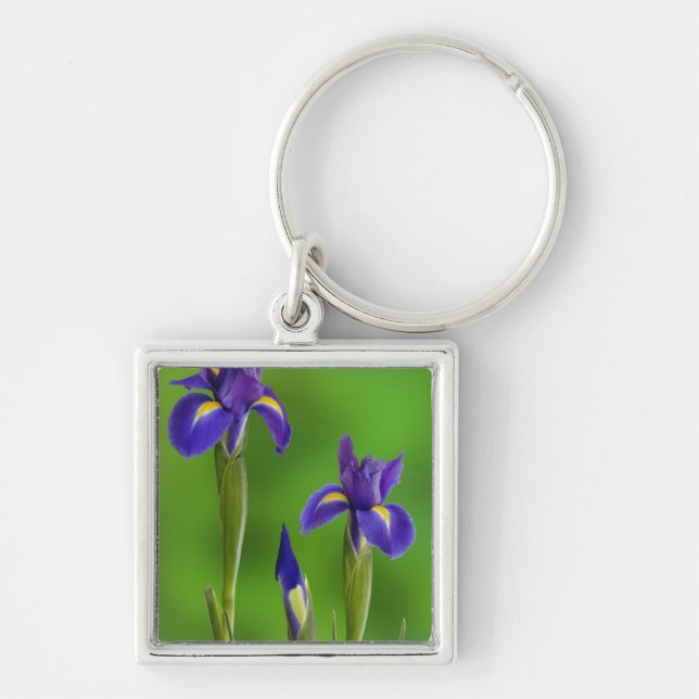 Chaveiro Flores de Íris (Frente)