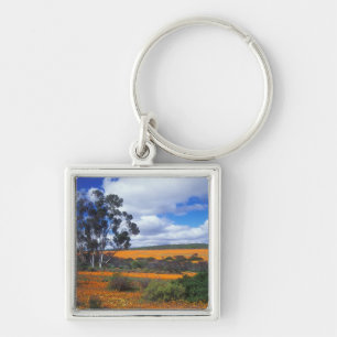 Chaveiro Flores de primavera na Namaqualand, África do Sul