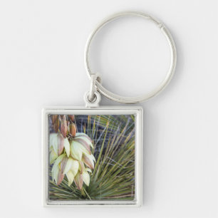 Chaveiro Flores de Soaptree Yucca no Upper Missouri