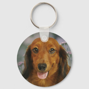 Chaveiro Flores Selvagens Cute Dachshund (Cabelo Longo Marr