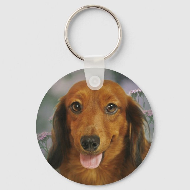 Chaveiro Flores Selvagens Cute Dachshund (Cabelo Longo Marr (Frente)