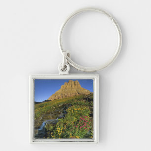 Chaveiro Flores silvestres alpinas & Mt Clements em Logan P