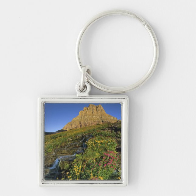 Chaveiro Flores silvestres alpinas & Mt Clements em Logan P (Frente)