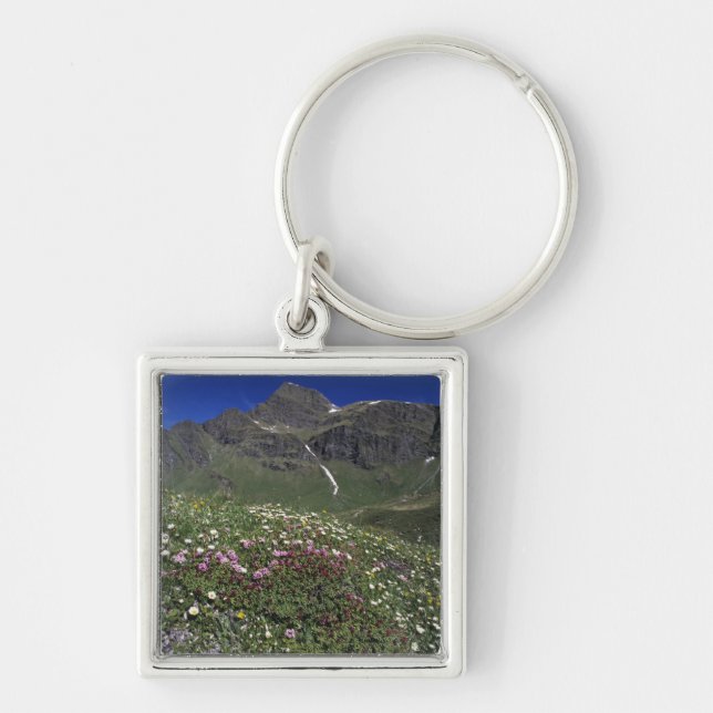 Chaveiro Flores silvestres, florescendo, Alpes, Suíça (Frente)