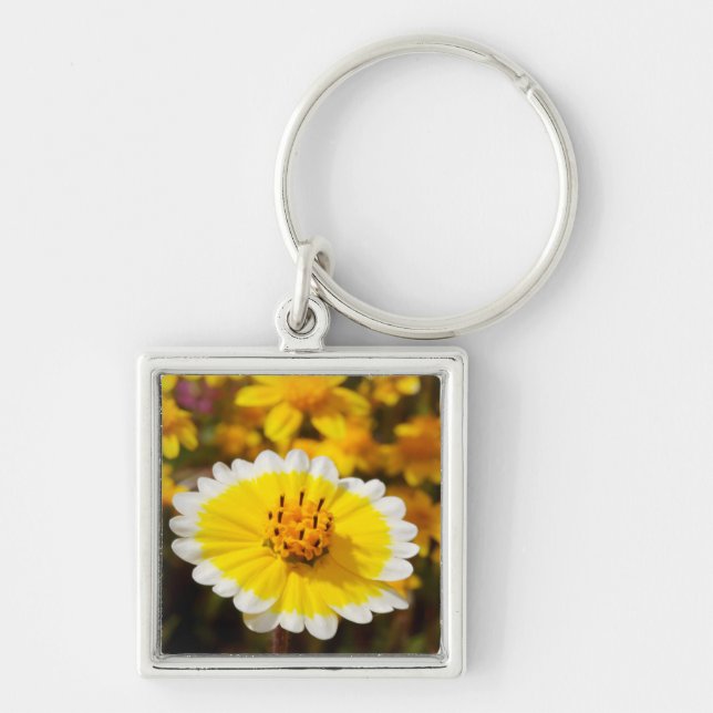 Chaveiro Flores Silvestres Tidy Tip (Frente)