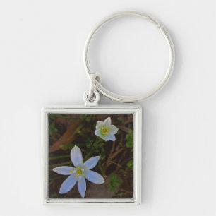 Chaveiro florescer em branco