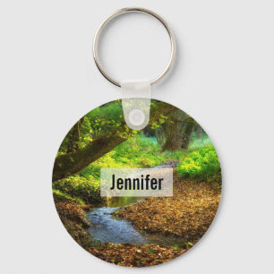 Chaveiro Floresta Creek Belo Paisagem Natural