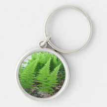 Floresta da samambaia - Keyring/