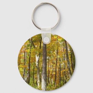 Chaveiro Floresta de Folhas Amarelas Paisagem de Outono