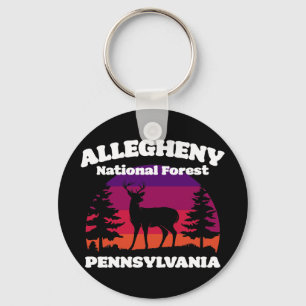 Chaveiro Floresta Nacional Alegrete