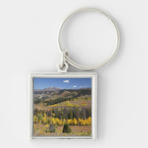 Chaveiro Floresta Nacional de Bridger-Teton