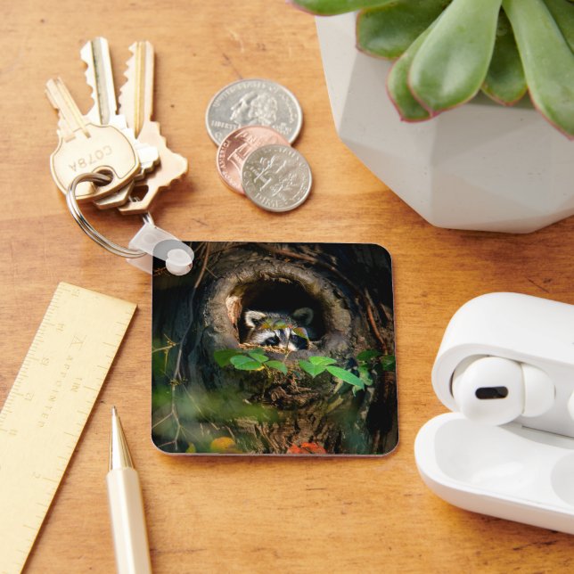 Chaveiro Florestas | Raccoon Peeking (Mesa)