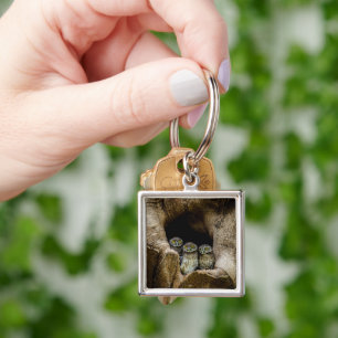 Chaveiro Florestas   Três Corujas