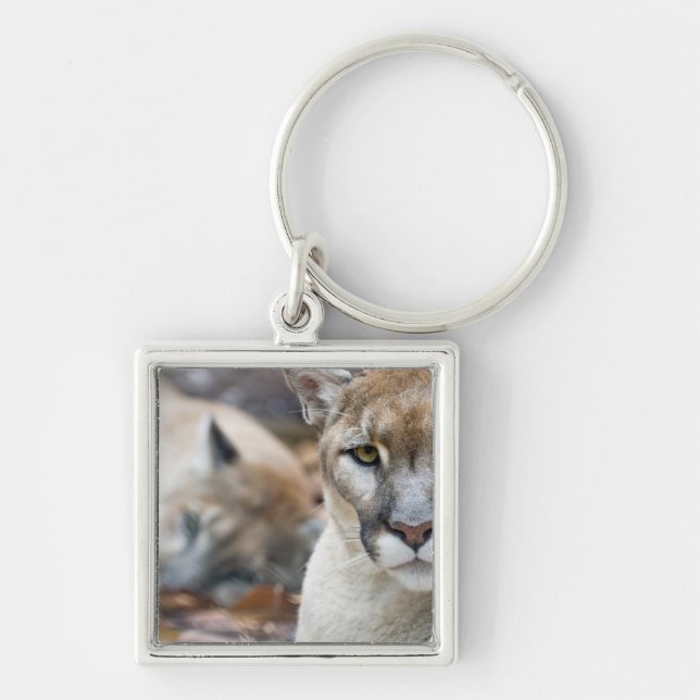 Chaveiro Flórida Panther (Frente)