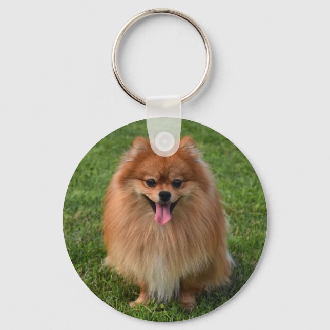 Chaveiro Fluffy Brown Pomeranian Puppy Dog (Frente)