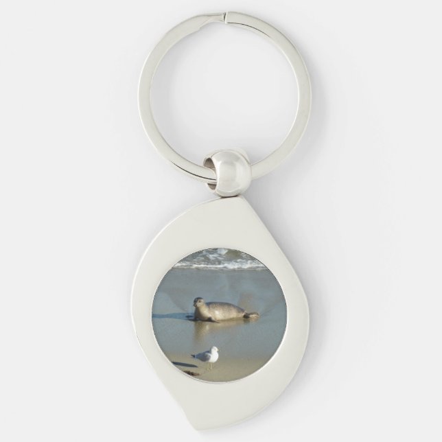Chaveiro Foca-comum em La Jolla Califórnia (Frente)