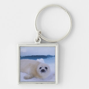 Chaveiro Foca-da-Groenlândia América do Norte, Canadá, Queb