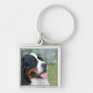 Chaveiro Fofo de Bernese
