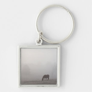 Chaveiro Foggy Grazing