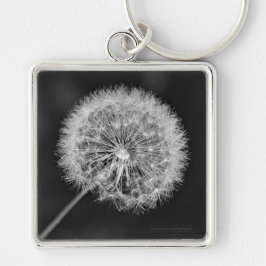 Chaveiro Foi para a Semente