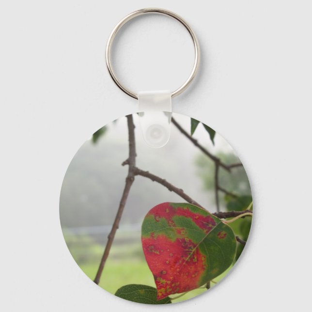 Chaveiro folha virando queda vermelha na Flórida (Frente)