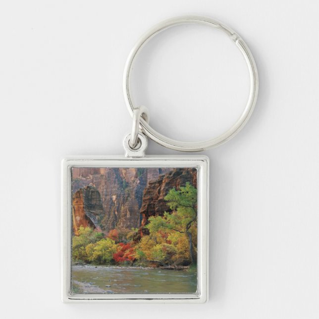 Chaveiro Folhagem de outono ao longo do rio Virgin perto do (Frente)