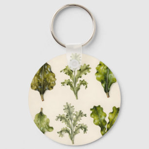 Chaveiro Folhas de Alface Vintage Herbário Botânico Verde