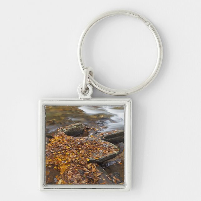 Chaveiro Folhas de outono ao longo do Looking Glass Creek n (Frente)