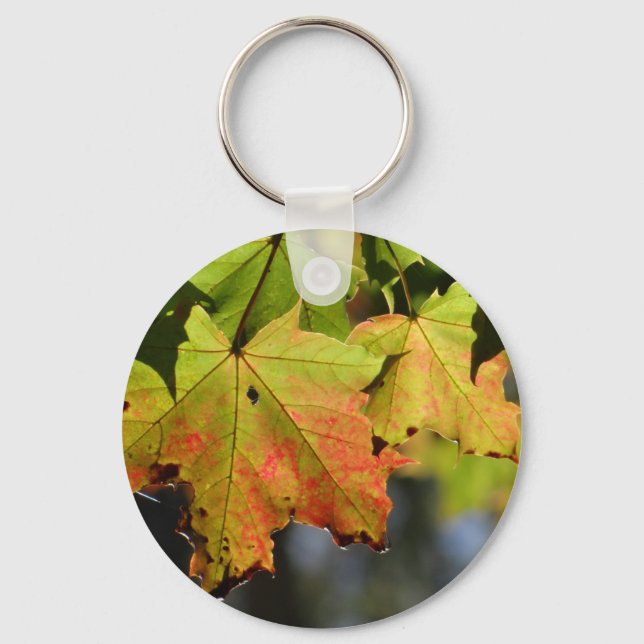 Chaveiro Folhas de outono coloridas (Frente)