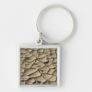 Chaveiro Formação de lama rachada no chão do Vale