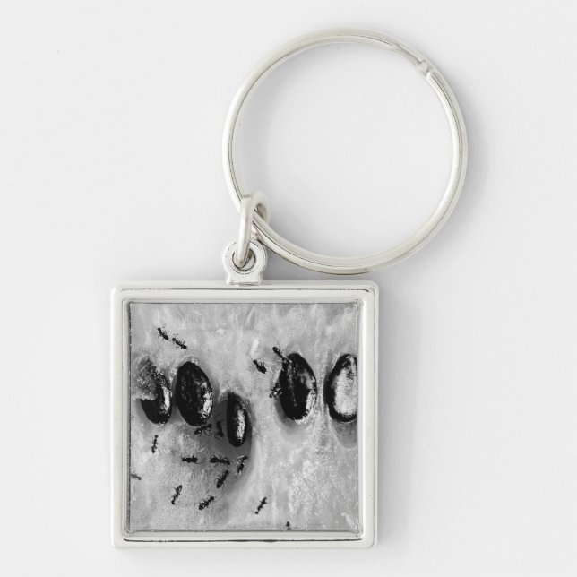 Chaveiro formigas surfadoras (Frente)