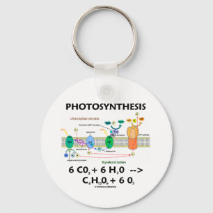 Chaveiro Fórmula de fotossíntese (química)