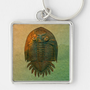 Chaveiro Fóssil Trilobite de Neometacanthus
