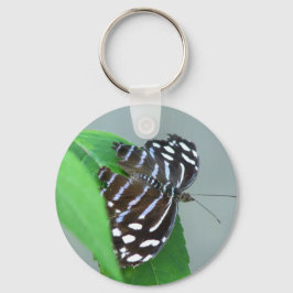 Chaveiro Foto da Borboleta de Onda Azul